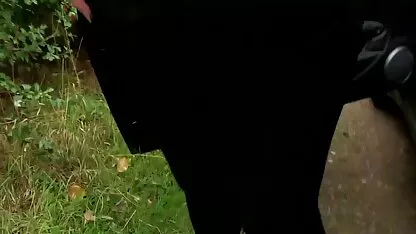 Betrug Frau kostenlose pornoseiten im Freien ficken
